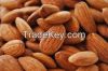 selling almond nut