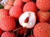 Fresh lychee/litchi