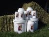 BioEquine Horse Supplement