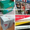 Corrugated Plastic Sheet