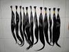 Sell Virgin Human Hair