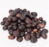 PALM KERNEL SEED DRY AND CRACK