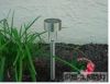 solar garden lamps