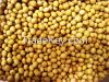 We provide you Soybean Meal