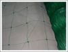 Sell plant support netting