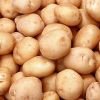 Fresh Indian Potato