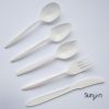 Disposable Plastic Cutlery