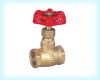 Brass Globe  valve