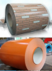 PPGI & PPGL steel coils