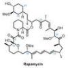 Sell Rapamycin