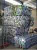 Sell PET BOTTLES BALED