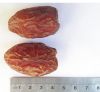 Medium Premium Medjoul Dates