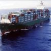 Sea shipping logistics to FELIXSTOWE/ Rotterdam/Hamburg/LE HAVRE