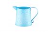 Galvanzied Watering Can With Decal