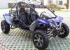 Sell 1100cc EFI engine go kart TKG1100-1