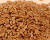 Australian Wheat APH1 Australian Prime Hard wheat APH2 APW1 APW2 Austr