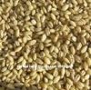 Australian organic pearl barley