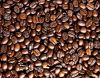 COFFEE BEANS FOR SALE