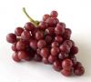 Grade A Red Grape Fruits