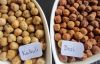 Top Quality Kabuli Chickpeas