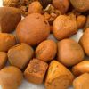 100% Grade A Whole OX/Catlle Gallstones