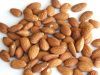 Apricot Kernel Almonds