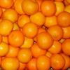 Mandarin Oranges
