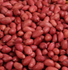 Red Skin Peanut