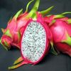 Fresh Dragon Fruit