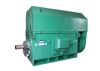 Sell YKK series high voltage three phase induction motor(6KV/10KV)