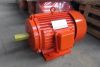 Y series three phase electric motor