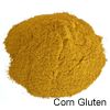 Sell corn gluten meal