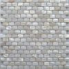 Sell Freshwater shell mosaic