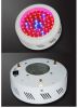 Sell 50W LED Grown Light