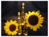 Export Refined Sunflower Oil | Pure Sunflower Oil Suppliers | Crude Sunflower Oil Exporters | Refined Sunflower Oil Traders | Raw Sunflower Oil Buyers | Pure Sunflower Oil Wholesalers | Low Price Sunflower Oil | Best Buy Sunflower Oil | Buy Sunflower Oil 