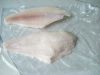 channel catfish fillet