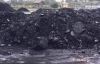 Sell Export  Steam Coal | Steam Coal Suppliers | Steam Coal Exporters | Steam Coal Traders | Steam Coal Buyers | Steam Coal Wholesalers | Low Price Steam Coal | Best Buy Steam Coal | Buy Steam Coal