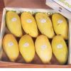 Sell Mangoes