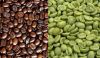 Export Coffee Beans | Arabica Coffee Beans Suppliers | Robusta Coffee Beans Exporters | Coffee Bean Traders | Wholesale Instant Coffee | Buy Coffee Beans | Bulk Coffee Bean | Green Coffee Bean Buyer | Low Price Roasted Coffee Bean | Import Coffee Bean | C