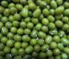 Green Mung Beans Size: 3.8mm 3.6mm