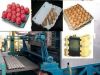 Sell apple tray machine