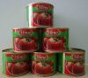 tomato paste