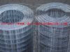 Sell welded wire mesh panel