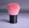 kabuki brush