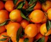 Sell A class Navel orange