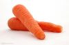 Fresh Carrot