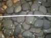 Sell Natural River Pebble Stone