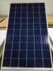 250W Poly Solar Panel