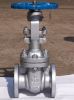 Sell gate valve