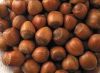 Hazelnuts